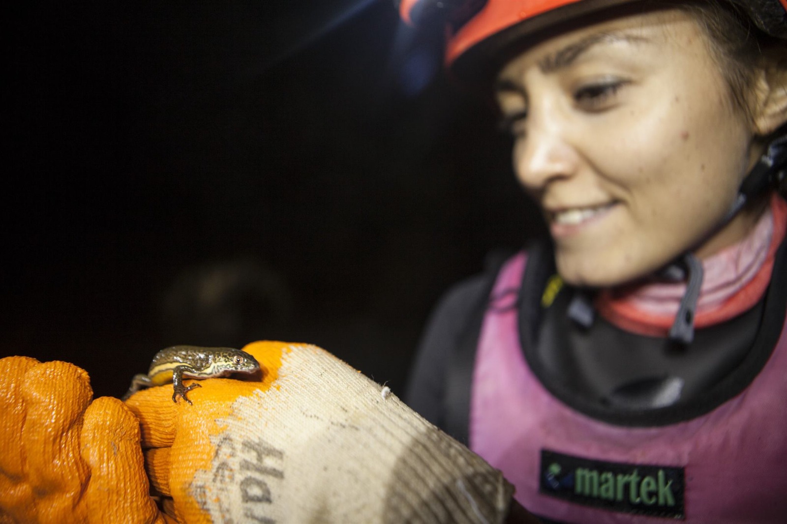 yüzdürme yardımcıları